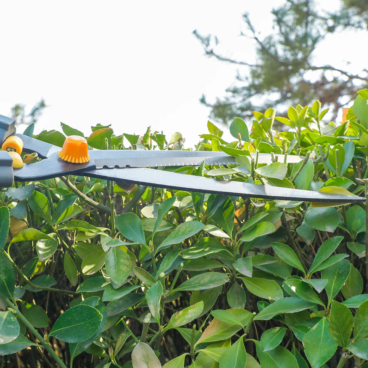 AIRAJ Hedge Shear Durable ,Which Used in Farms,Fruit Trees,Flowers and Other Home Garden Scissors Multi-Category Hand Tools