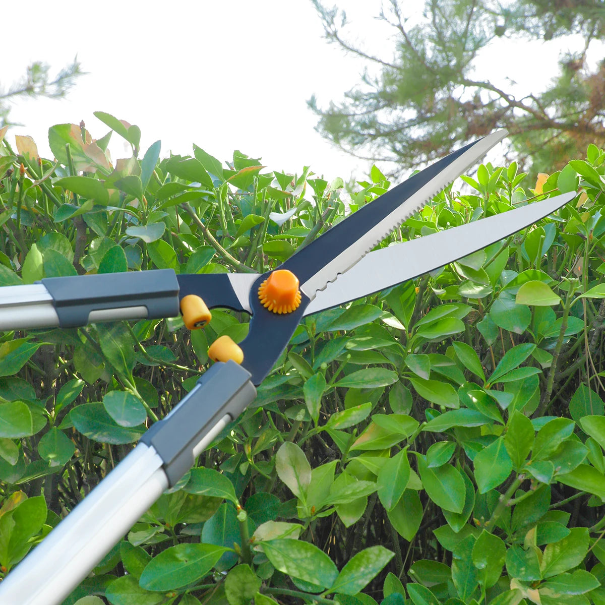 AIRAJ Hedge Shear Durable ,Which Used in Farms,Fruit Trees,Flowers and Other Home Garden Scissors Multi-Category Hand Tools