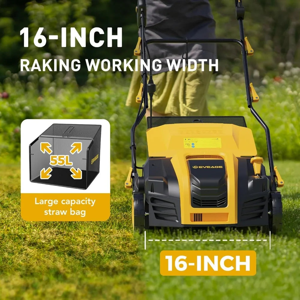 16-Inch 15-Amp Electric Dethatcher and Scarifier 5-Position Depth Adjustment